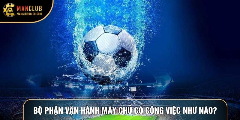 Bộ phận vận hành máy chủ có công việc như nào?