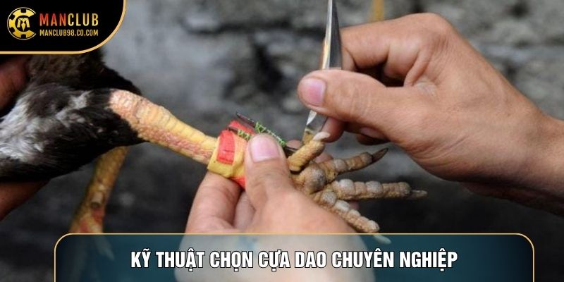 Kỹ thuật chọn cựa dao chuyên nghiệp