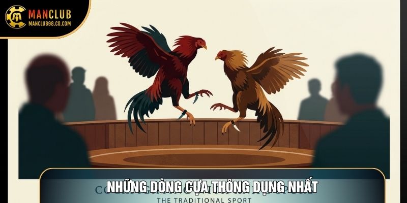 Những dòng cựa dao thông dụng nhất