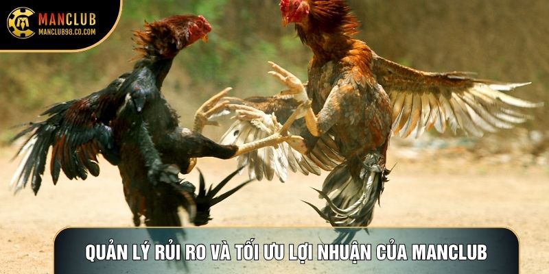 Quản lý rủi ro và tối ưu lợi nhuận của Manclub